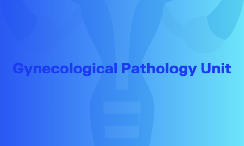 Gynecological Pathology Unit
