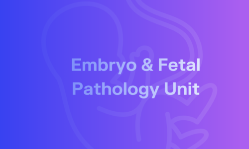 Presentation of the Embryo & Fetal Pathology Unit