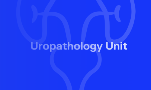 Presentation of the Uropathology Unit