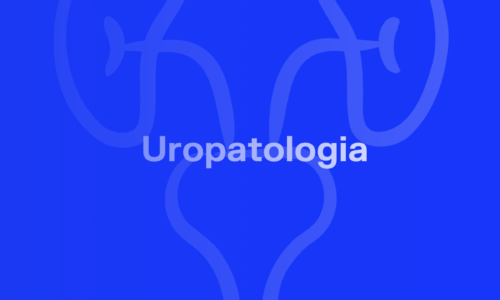 Apresentação da Unidade de Uropatologia