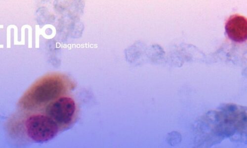 Vantagens da Dupla Marcação Imunocitoquímica p16Ki-67 na Prevenção do Cancro