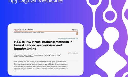 Médicos do IMP Diagnostics Colaboraram Num Estudo Pioneiro Que Visa Transformar o Diagnóstico do Cancro da Mama