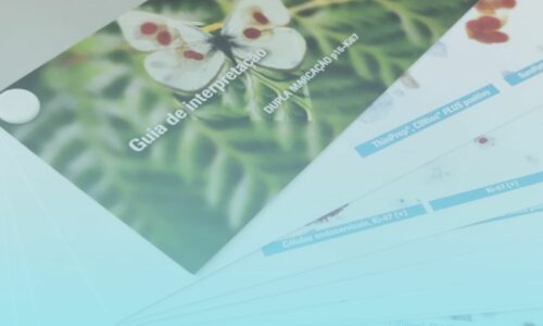 O IMP Diagnostics Esteve Presente no Roadshow CINtec® PLUS da Roche